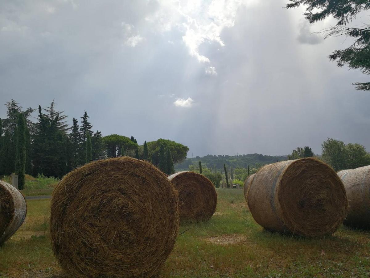 Masseria Le Querciole Fauglia Buitenkant foto