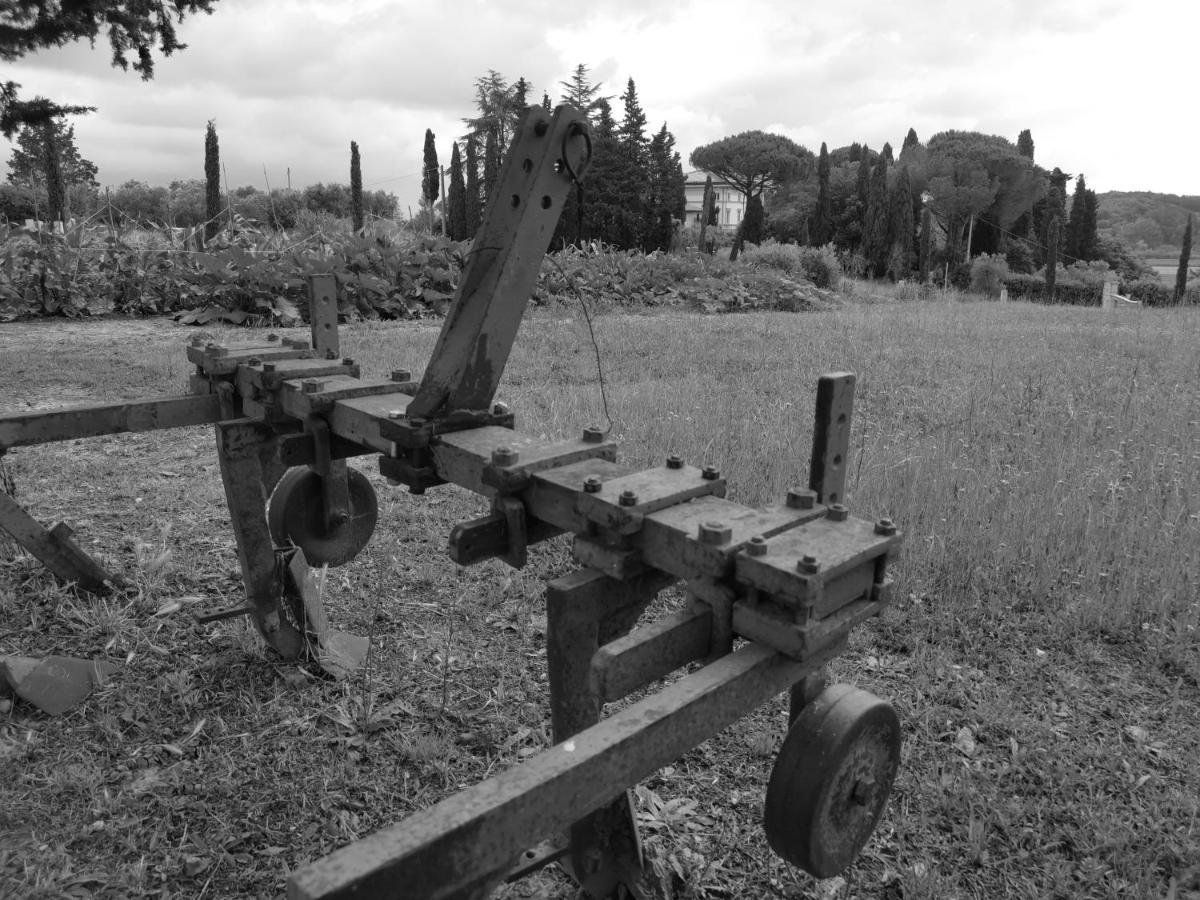 Masseria Le Querciole Fauglia Buitenkant foto