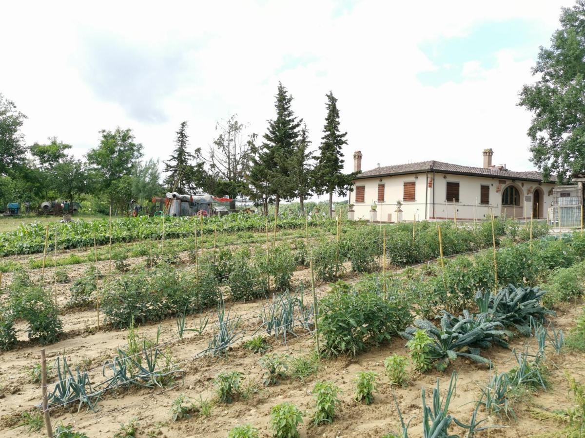 Masseria Le Querciole Fauglia Buitenkant foto