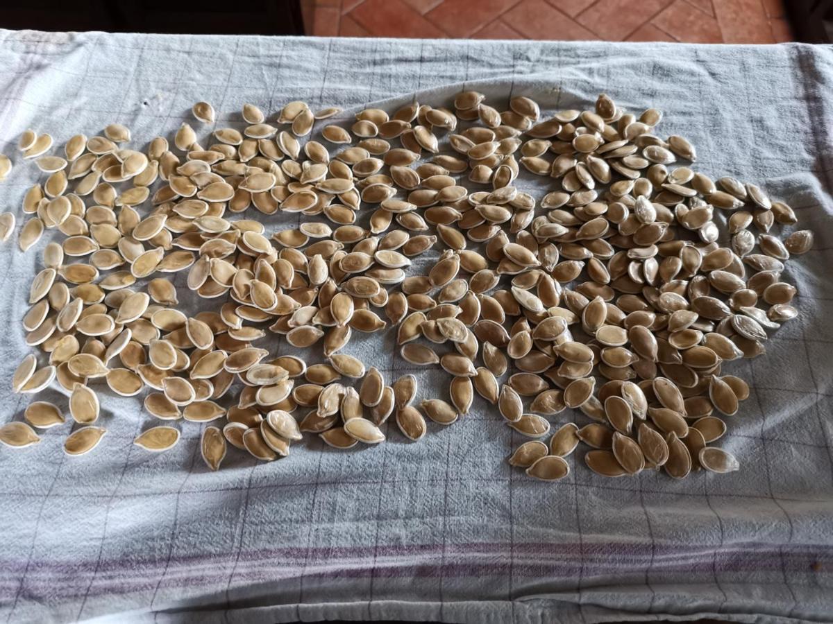 Masseria Le Querciole Fauglia Buitenkant foto