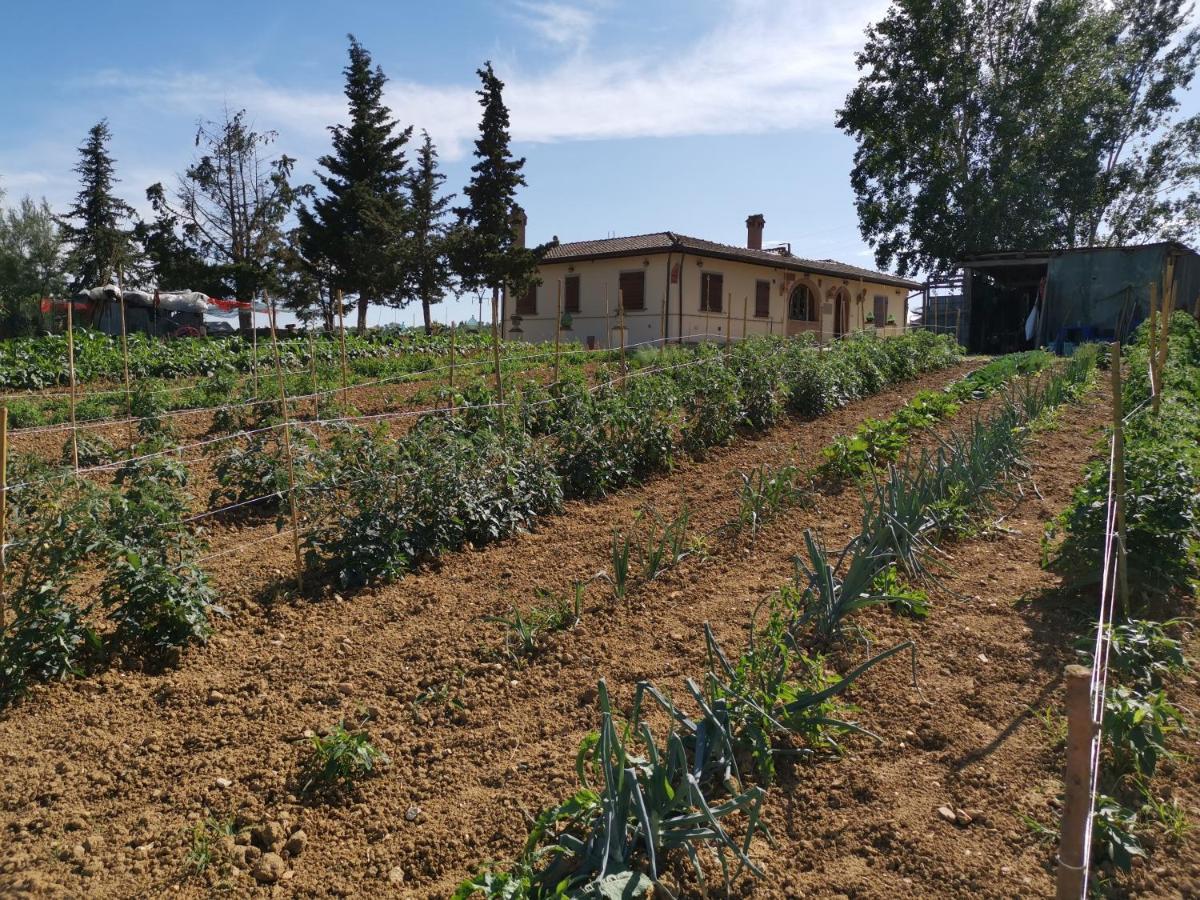 Masseria Le Querciole Fauglia Buitenkant foto