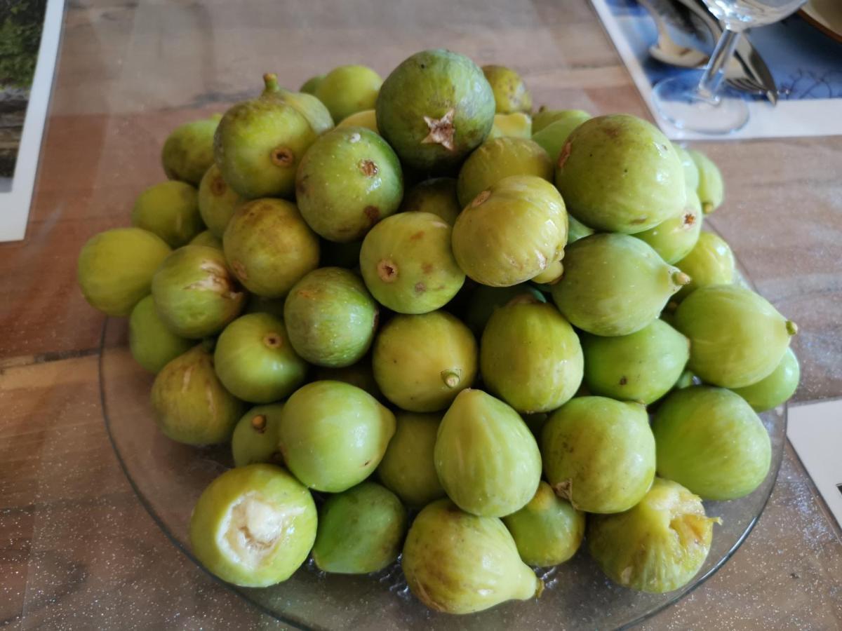 Masseria Le Querciole Fauglia Buitenkant foto